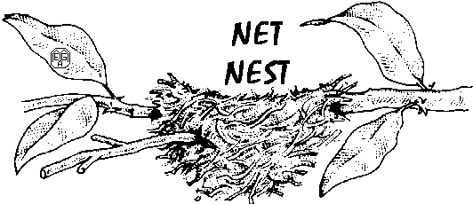 wer wagt den Blick ins NetNest